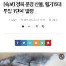 [속보] 경북 문경 산불, 헬기15대투입 '1단계' 발령 이미지