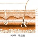 힐링메이크업