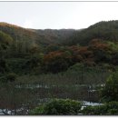 상대곡 마을회관 이미지