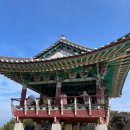 서천 | 서천 마량리 동백나무숲 후기｜아이랑 가기 좋은 산책코스 (입장료·개화상황)