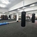 알파복싱 이미지