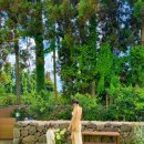 제주하뭄 이미지