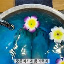 중문동-16 이미지