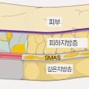 오오로 이미지