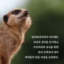 니컬라 라이하니의 『협력의 유전자』 - 협력을 진화적 관점에서 다루다 이미지