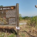 청성역사공원 지역 이미지