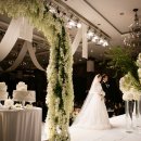 헤어펠리스 이미지