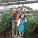 청미르마을 이미지