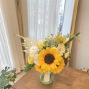 사파동322 이미지