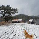 운주로 이미지