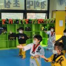 초심태권도 이미지