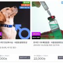 태평역 동물병원 이미지