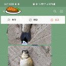 신원대로-9 이미지