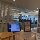 알톤자전거첨단2지구점 | 첨단2지구 필라테스 위필라테스랩 첨단점 한달 이용 후기