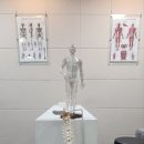 세움한의원 | 광주체형교정 맞춤관리로 받은 후기