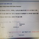 살균ㅡ차아염소산ㅡ버콘 이미지