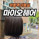 병민 | 학동역 미용실 마이오헤어 학동점 병민디자이너 애쉬브라운 염색후기