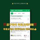 토리하이
