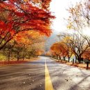 원당경희한의원 이미지