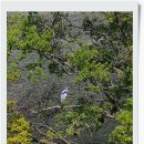 로하스대청공원 이미지