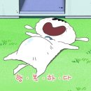 예랑어린이집 | [광주 스몰웨딩 어반브룩] 광주 어반브룩 계약 / 시식 후기_2026년 11월 예식 스몰웨딩 야외웨딩 식사 뷔페