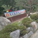 호수에추억