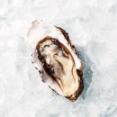 굴이야기 이미지