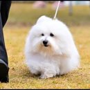 유어라운지 이미지