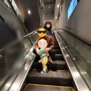 용산-이촌-1490 이미지