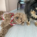 은평국제유치원 이미지