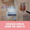 유미안외과의원 이미지