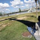 용산시민휴식공원 이미지