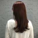 쉐르헤어 - 대덕구 | 쉐르헤어