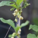 미사리촌집 이미지