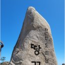 땅끝정인숙칼국수 이미지