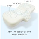 잠솔솔 | [잠솔솔 메모리폼 경추베개 내돈내산 솔직 후기] 낮은형 일반형 차이 실제 사용후기