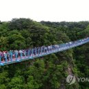 임시주차장(족구장) 이미지