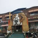 24시 모란동물 메디컬센터 이미지