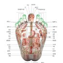 손바닥 과 발바닥 지압 이미지