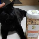 견생맛스토어 이미지