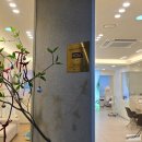 레푸스 정자점 | 분당발각질제거 레푸스 분당정자점 정나리 푸스플레게 굳은살제거 후기