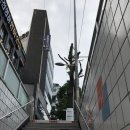 김강림농장 | 새로운 인연은 언제나 즐거워