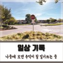 고미에너지딜리버리(주) 인천지점 | 또 돌아온 일상 이야기 (시간순삭, 머선일이고)