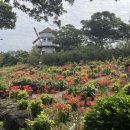 제주허브동산 이미지