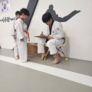 용인대마루한태권도(둔산점) 이미지