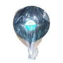 36식자재 이미지