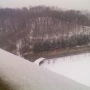 양명초교 이미지