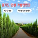 사랑목장 | 경기도 안성 가볼만한곳 아이와 농협안성팜랜드 동물 목장 체험