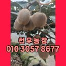 천우 농장 이미지