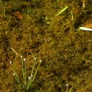 곡정초등학교 이미지